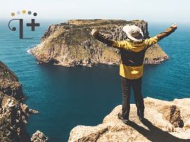 VIP Tassie Experiences - Discover Tasmania